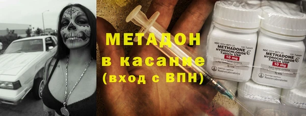 сатива Белоозёрский