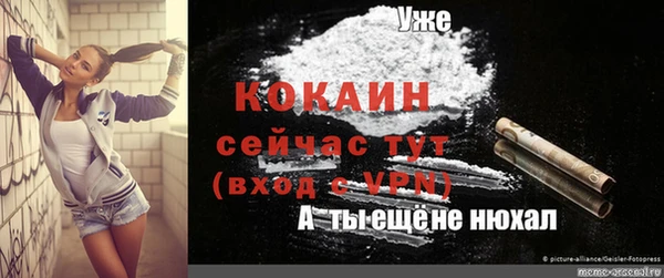 сатива Белоозёрский
