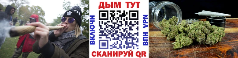 Бошки марихуана семена  Выборг 